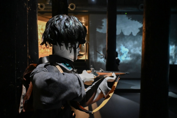 web (13)